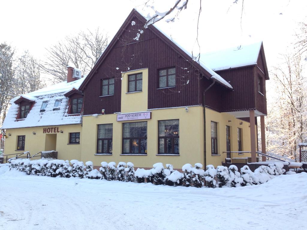 Willa Strzelnica Hotel Koscierzyna Exterior photo